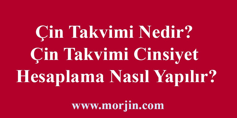 Çin Takvimi Nedir? Çin Takvimi Cinsiyet Hesaplama Nasıl Yapılır?