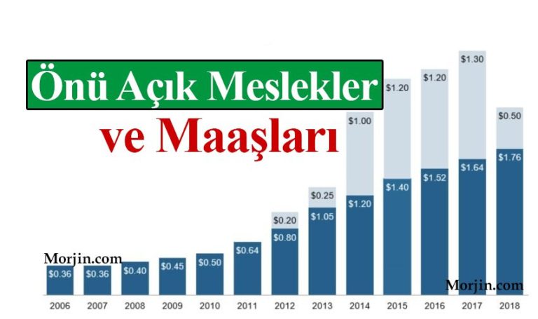 Geleceğin Önü Açık Meslekleri ve Maaşları