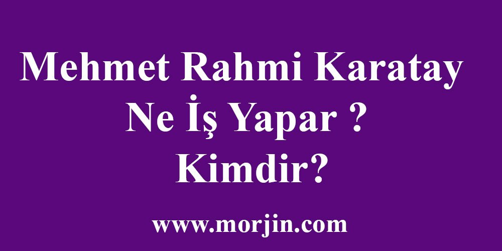 Mehmet Rahmi Karatay Ne İş Yapar